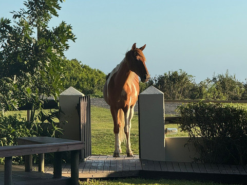 奥伊斯特贝酒店主图
