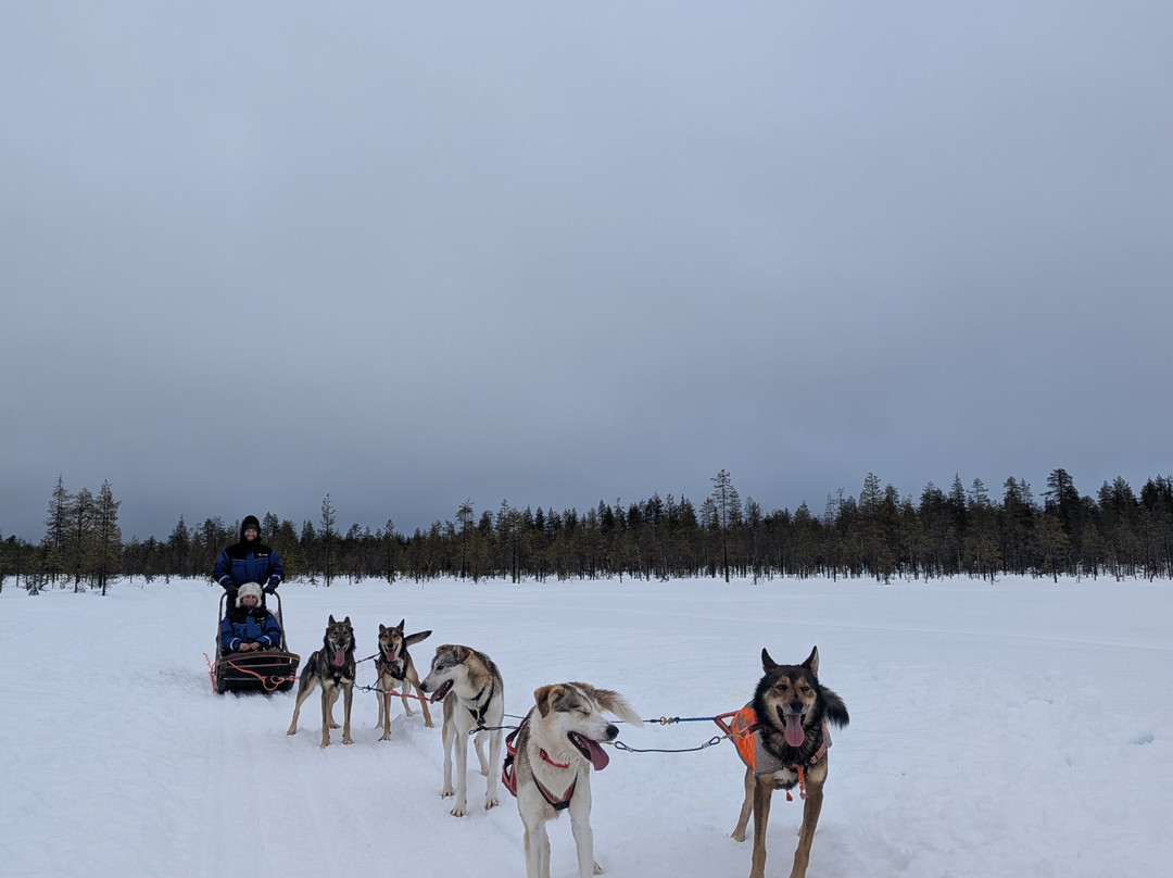 Pinewood's huskies-罗瓦涅米必去景点