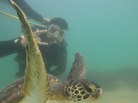 Paraíso das Tartarugas-Bombinhas必去景点