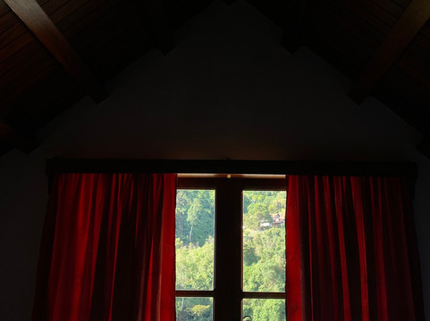 Hotel Selva Negra主图