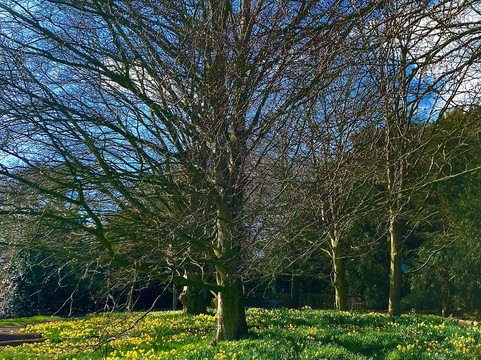 Sudbury Hall-Sudbury必去景点