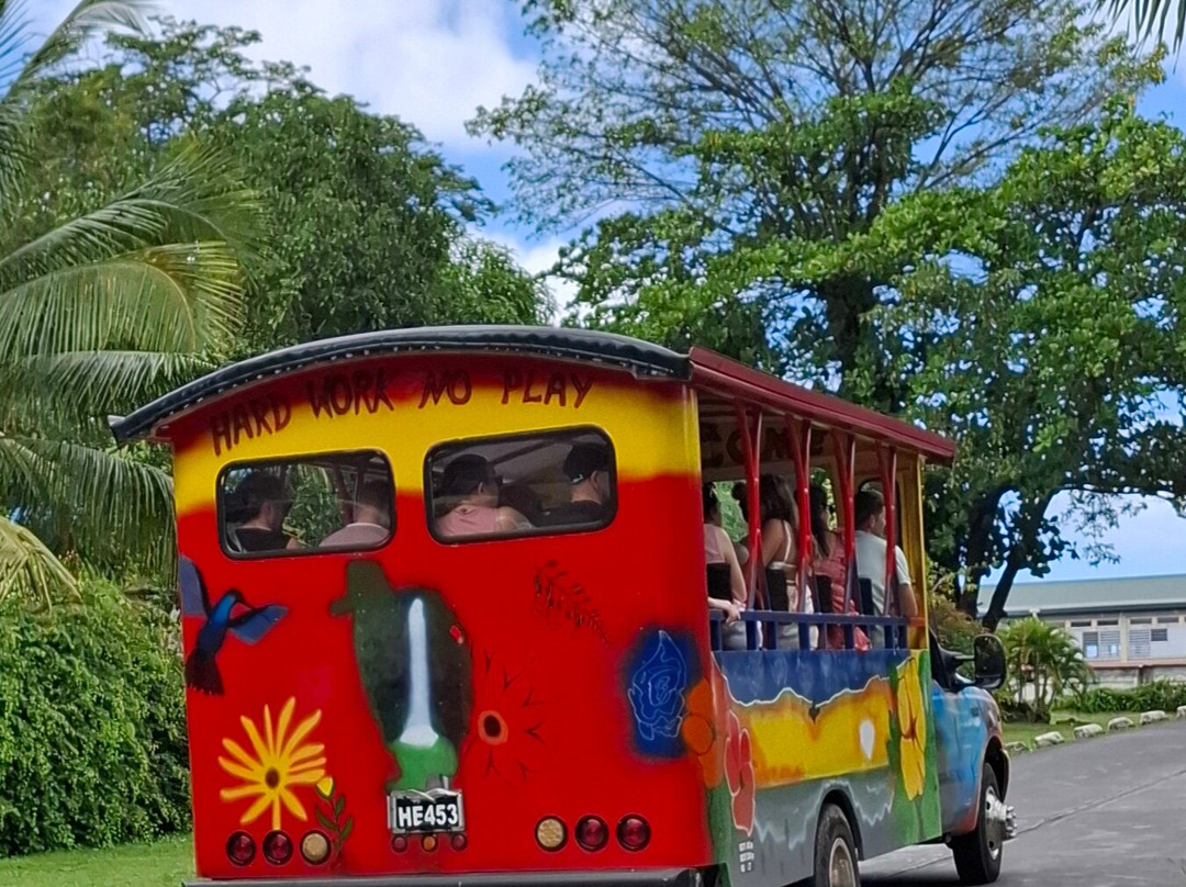 Dominica Botanic Gardens-罗索必去景点