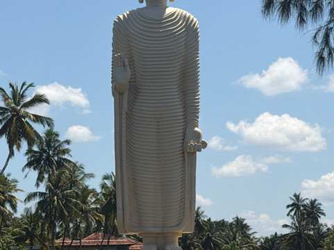 Riu Lanka Tours (PvT) Ltd-亚洪加拉必去景点