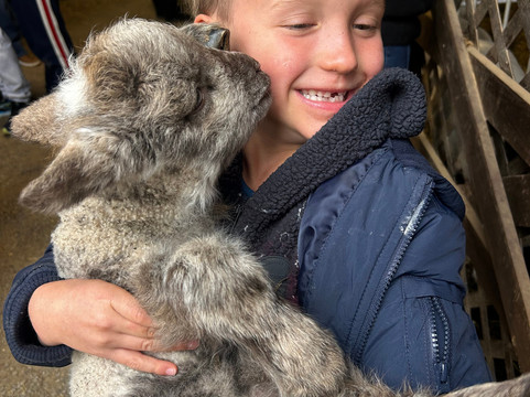 Cress Creeks Farm And Corn Maze-Ellijay必去景点
