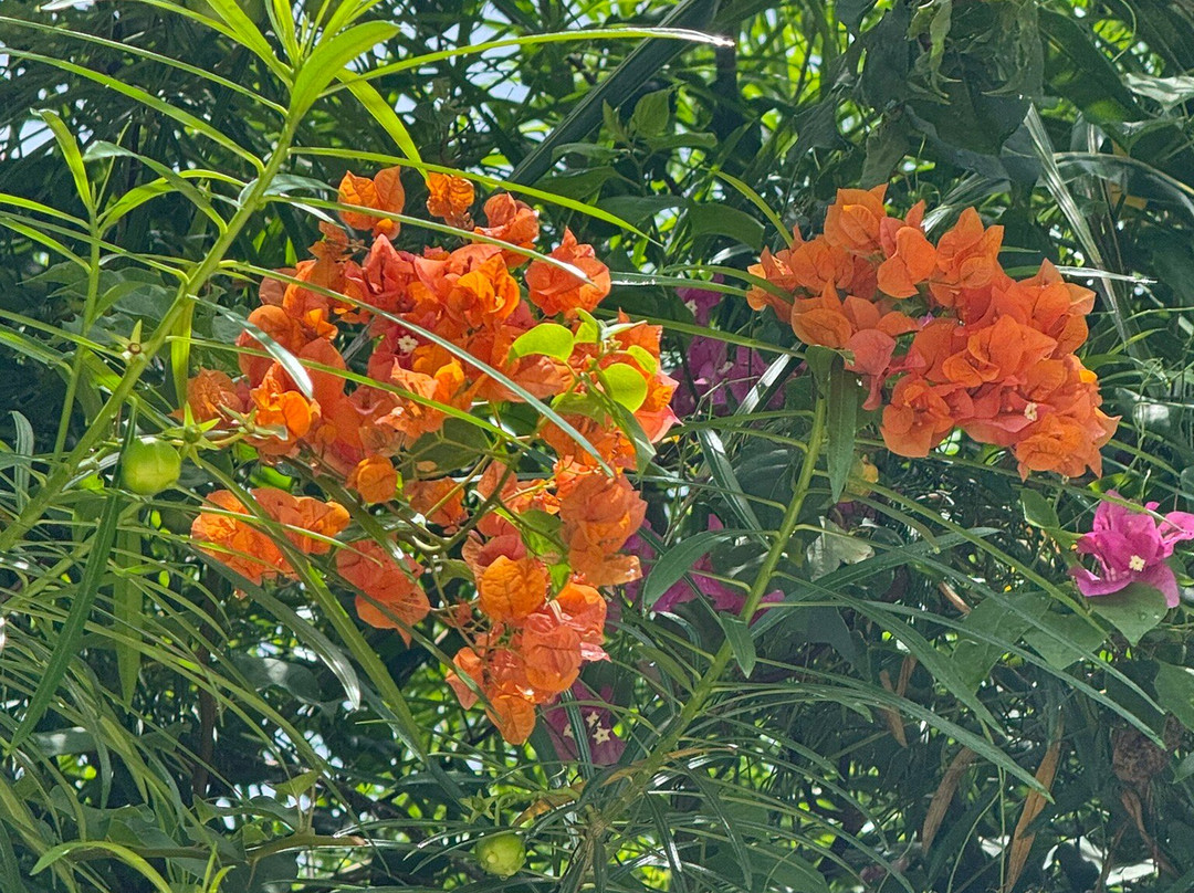 阳光湾成人酒店主图