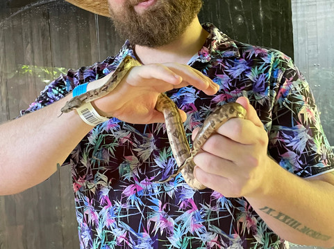 Croco Cun Zoo-从莫雷洛斯港必去景点