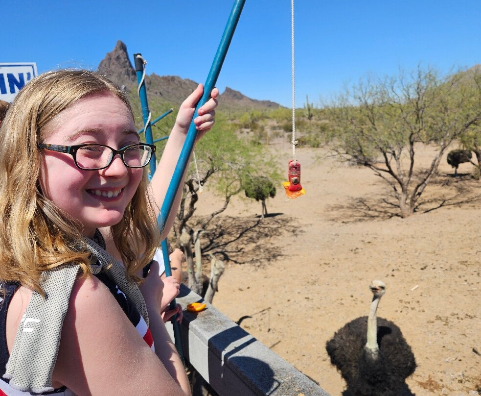 Rooster Cogburn Ostrich Ranch-Picacho必去景点