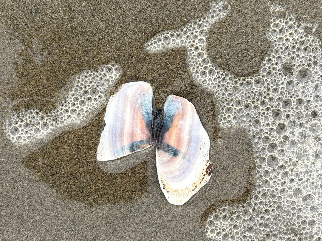 Seaside Beach Oregon-锡赛德必去景点