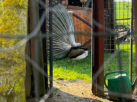 Family Park-Felizzano必去景点