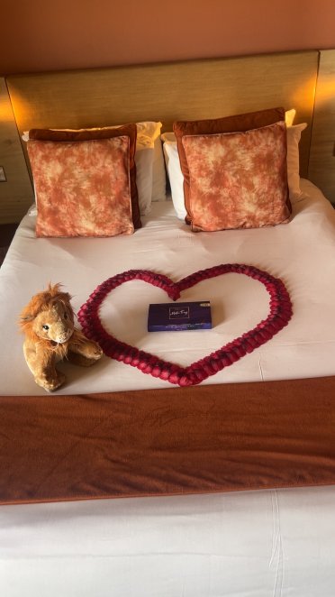 Hex野生动物酒店-官方