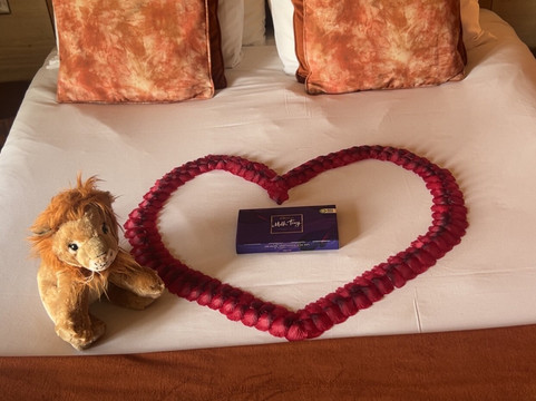 Hex野生动物酒店主图