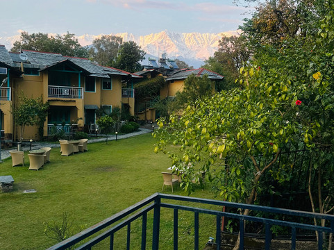 Tree of Life Birdsong Chalets主图