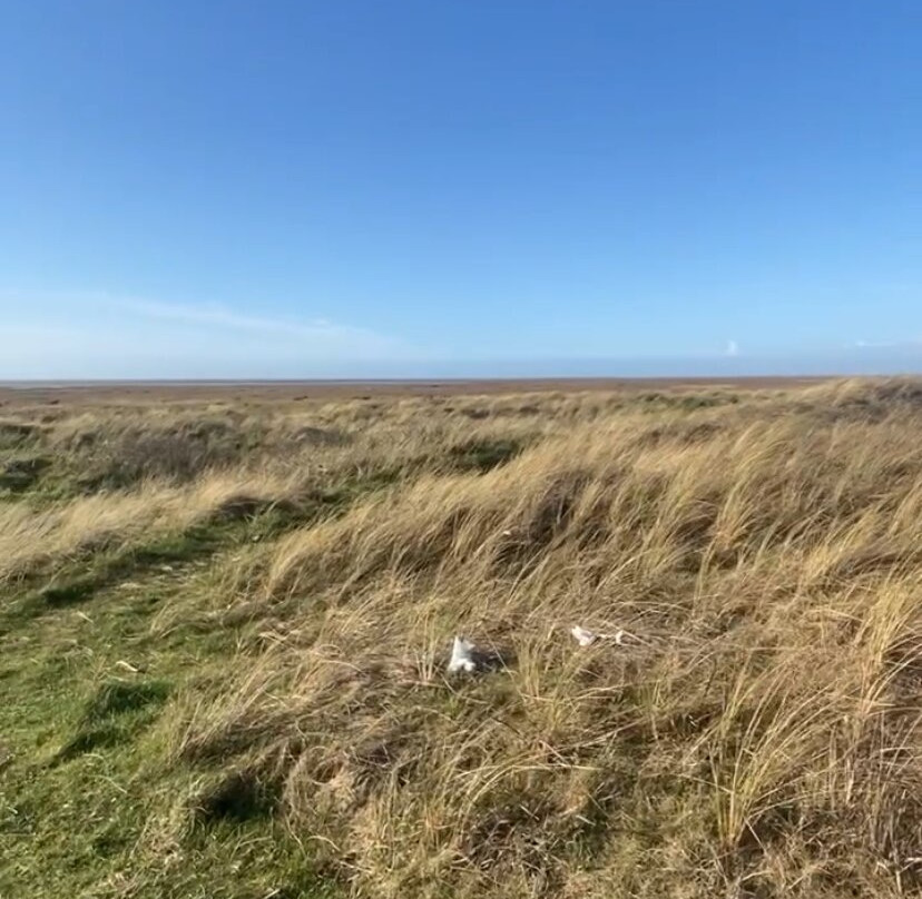 Southport Beach-绍斯波特必去景点