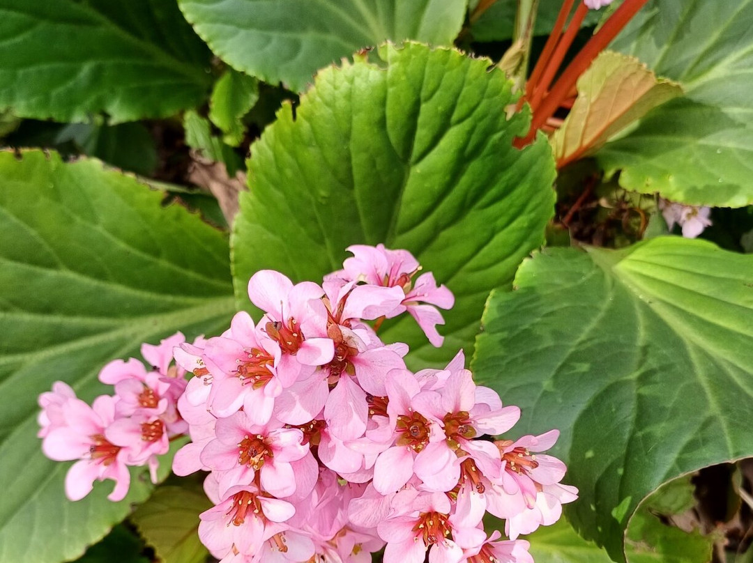 Parco Scalabrini-切尔梅纳泰必去景点