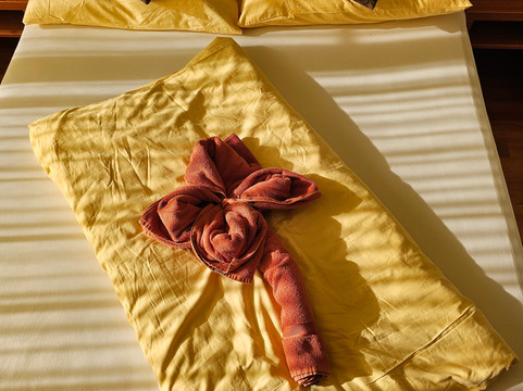 Thermalhotel Fontana主图