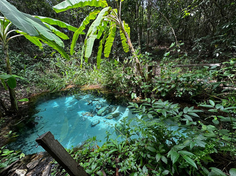 Jalapão Bicudo  Adventure-Ponte Alta do Tocantins必去景点