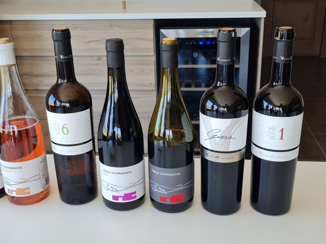 Vinyes d'Olivardots-Capmany必去景点