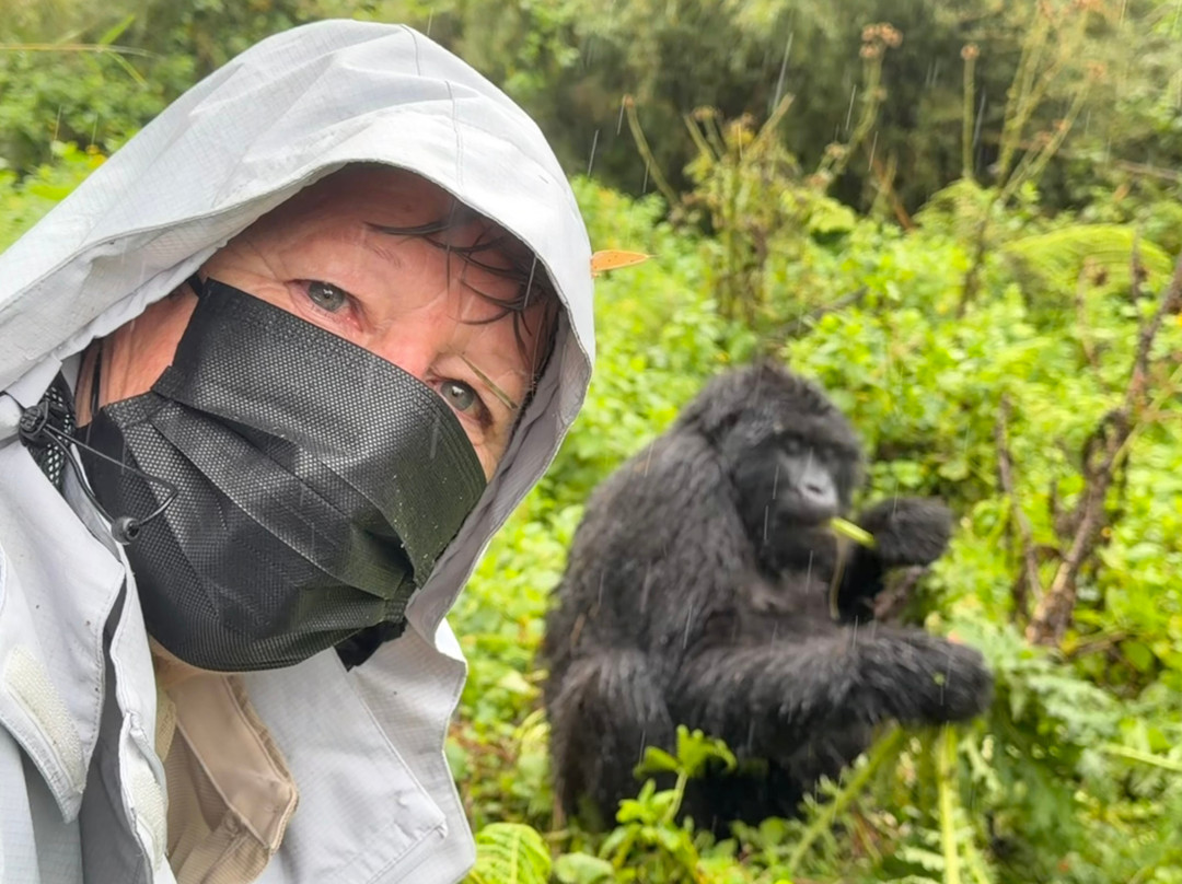 Gorilla Trek Africa-吉佳利必去景点