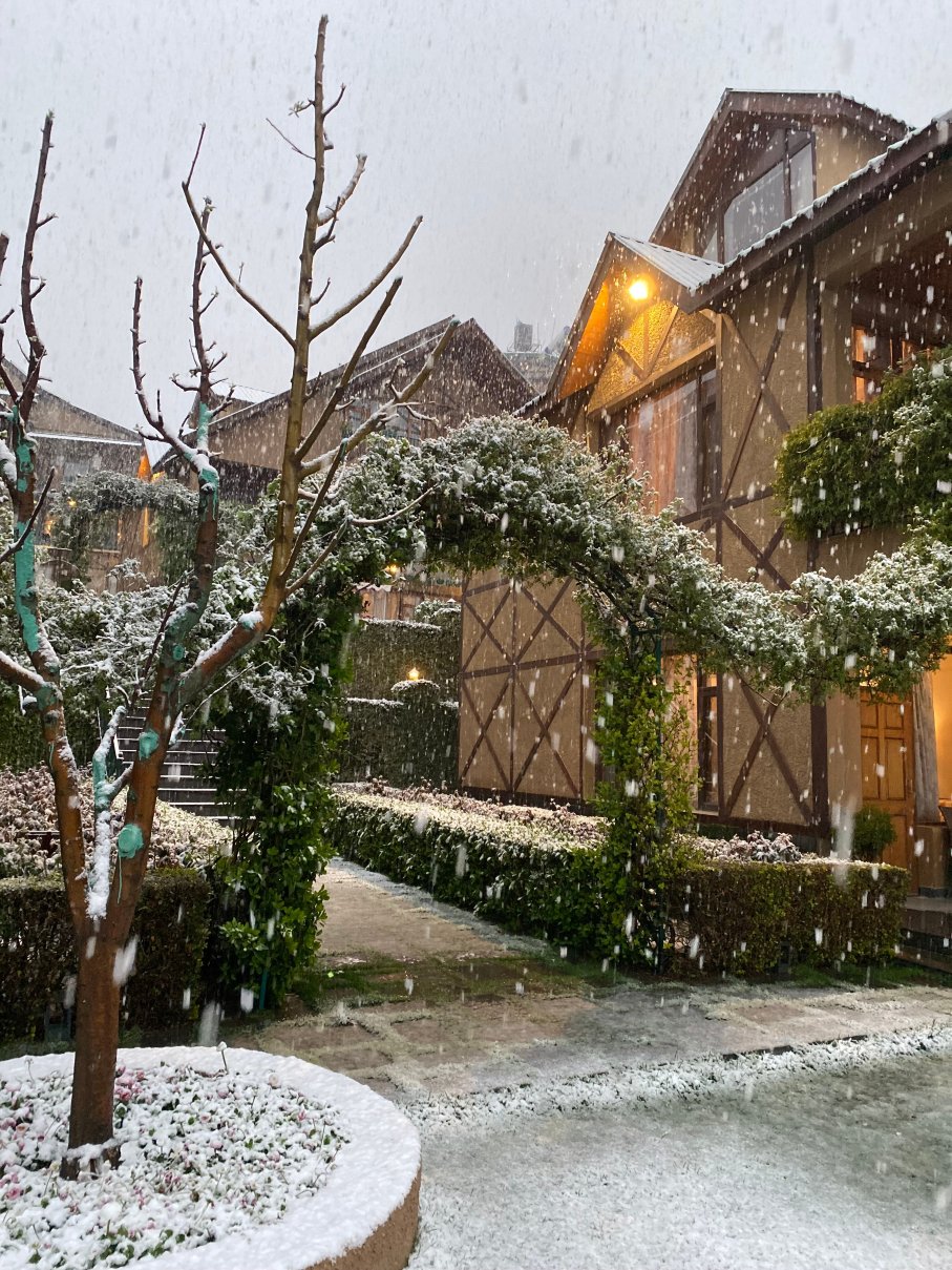 阿南特玛雅度假村-官方