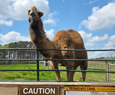 Georgia Untamed Zoo-Hogansville必去景点