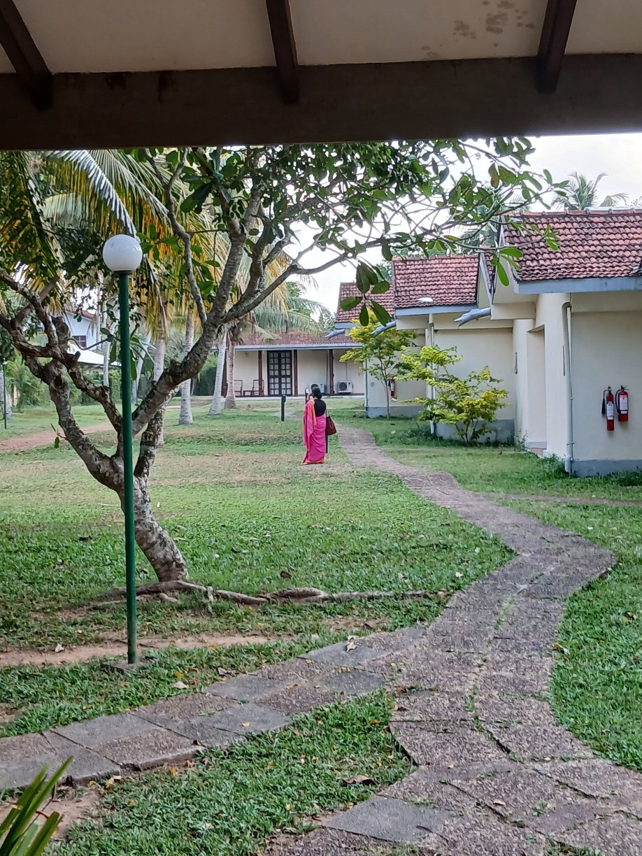 塔玛林德树酒店-官方