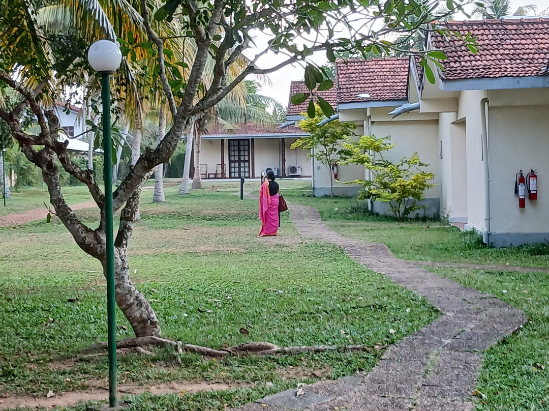 塔玛林德树酒店主图