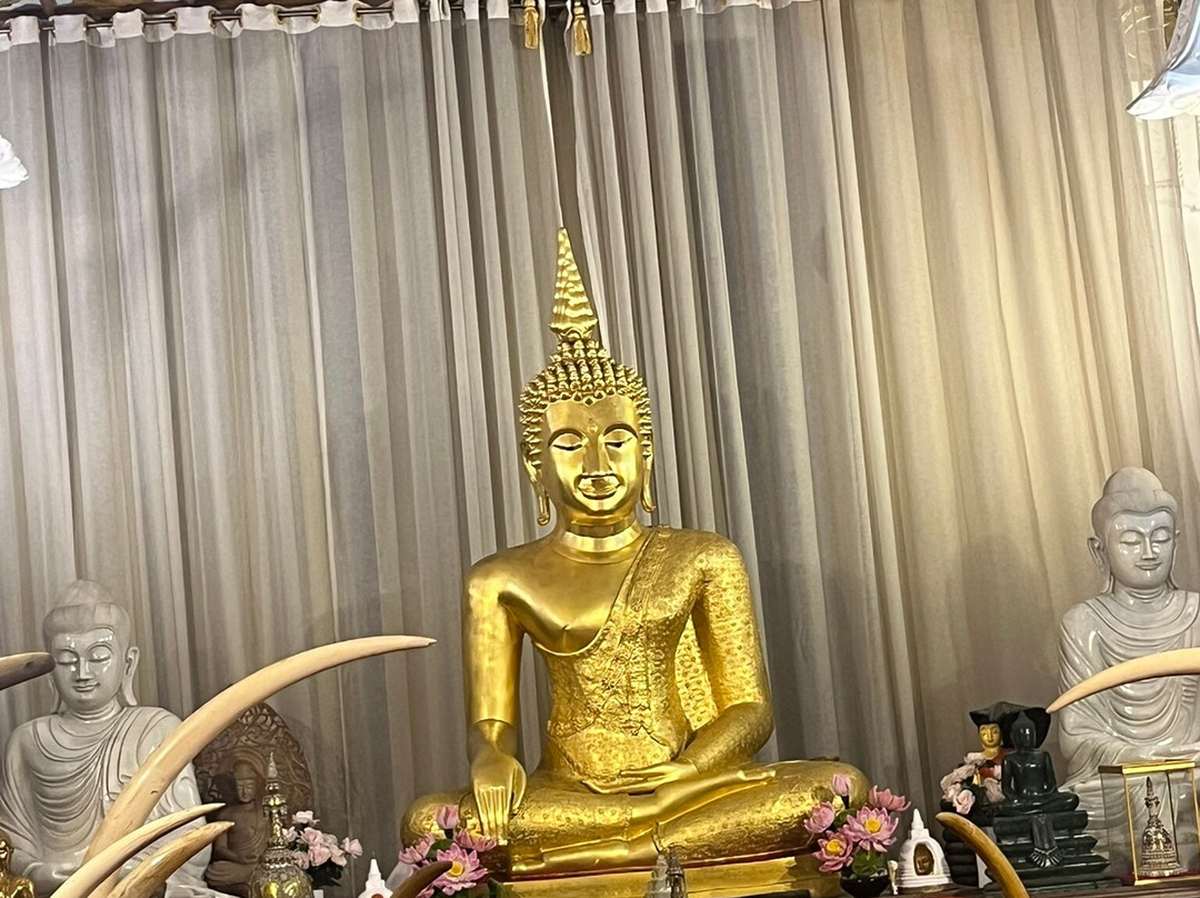 At Ease Sri Lanka - Tours & Transport-Dodanduwa必去景点