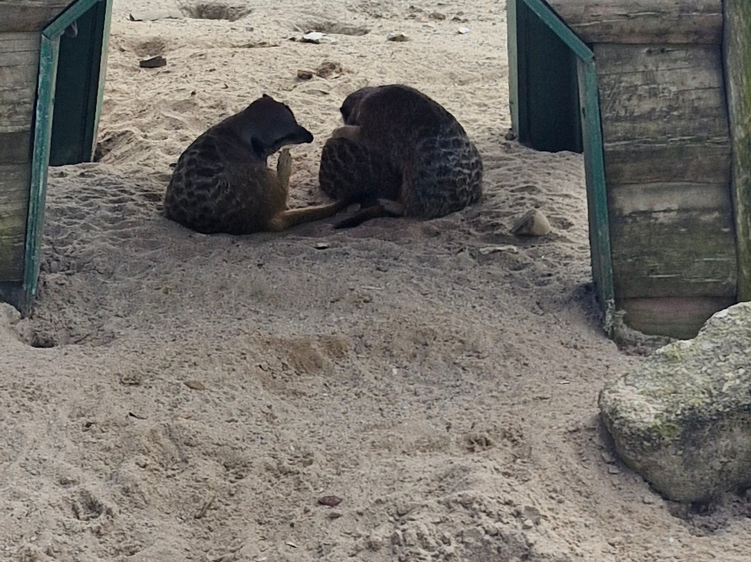 Finkley Down Farm-Andover必去景点