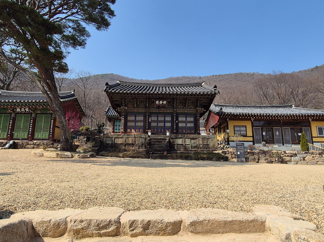 daejeogsa-清道郡必去景点