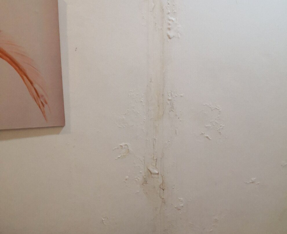 壁虎旅馆城市店主图