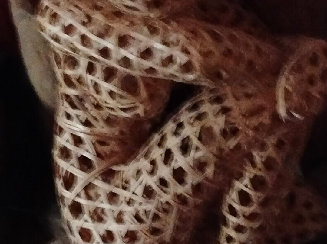 Passoin India Tours-新德里必去景点