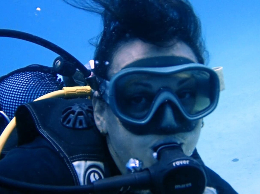 Dive Spirit Mauritius-卓欧毕雪必去景点