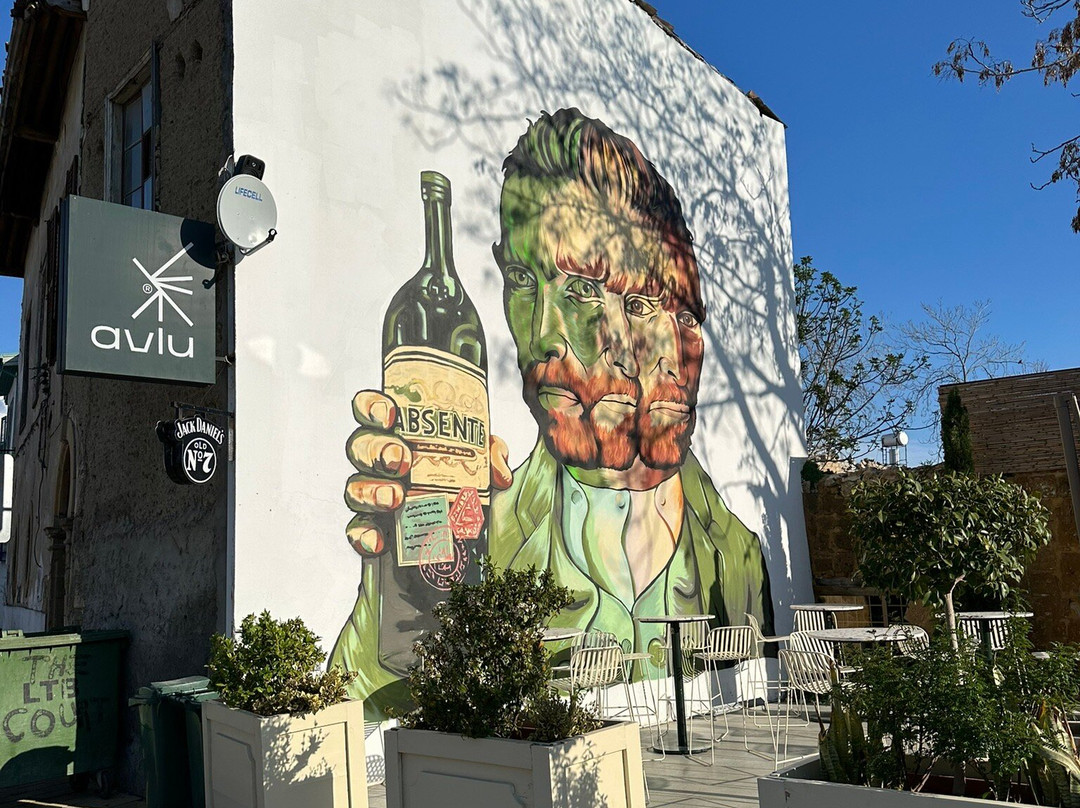 The Samanbahce Quater-尼科西亚必去景点