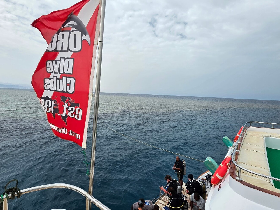 ORCA Dive Club Soma Bay-索马湾必去景点