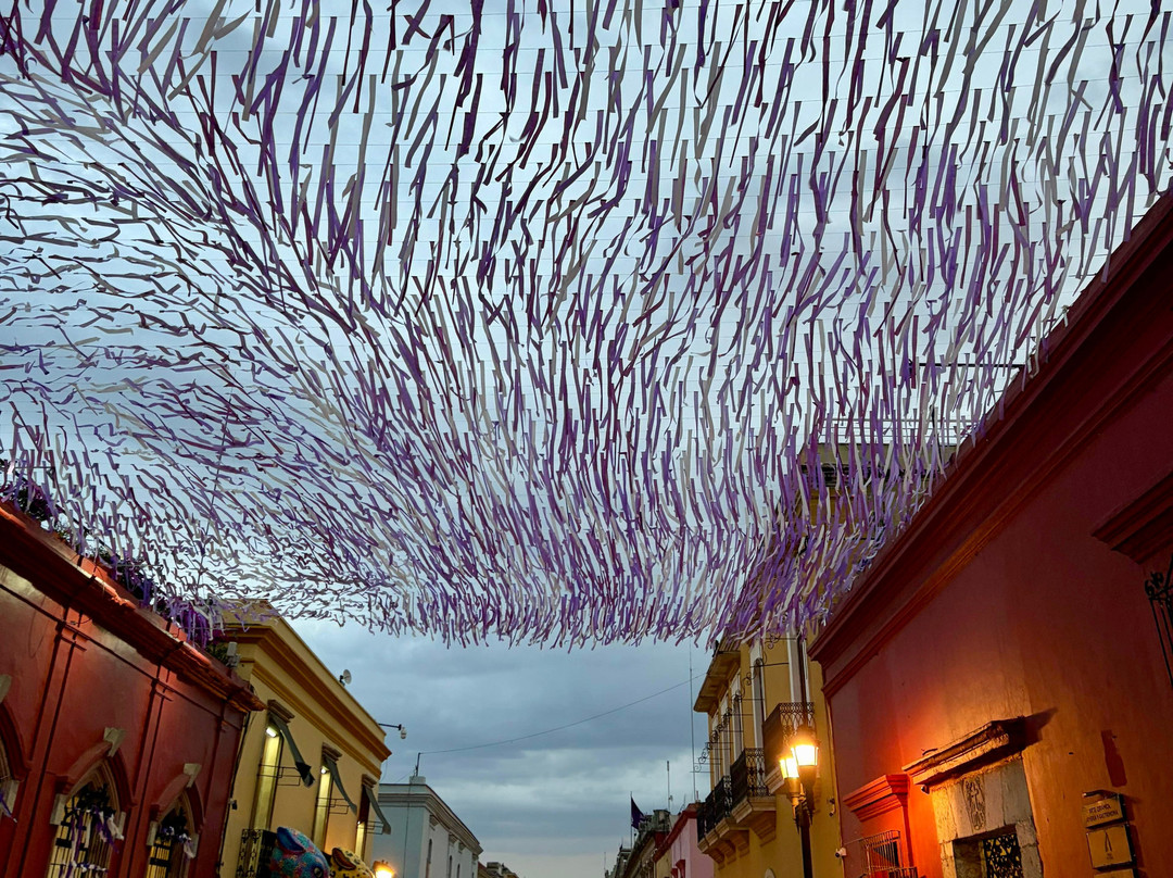 Samap Travels & Tours LTD-拉哥斯必去景点