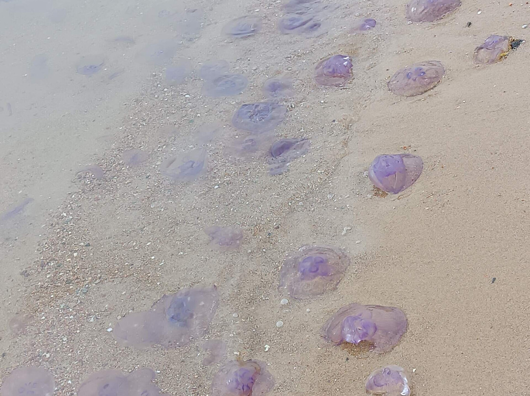 绿松石海滩酒店主图