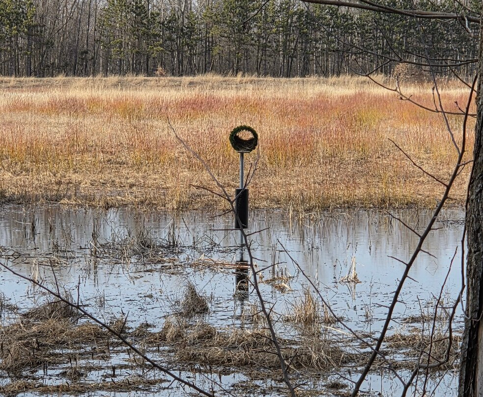 Barkhausen Waterfowl Preserve-Suamico必去景点
