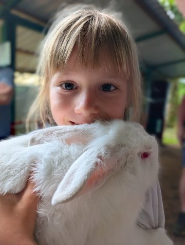 卡西塔斯特诺里奥家庭旅馆-官方