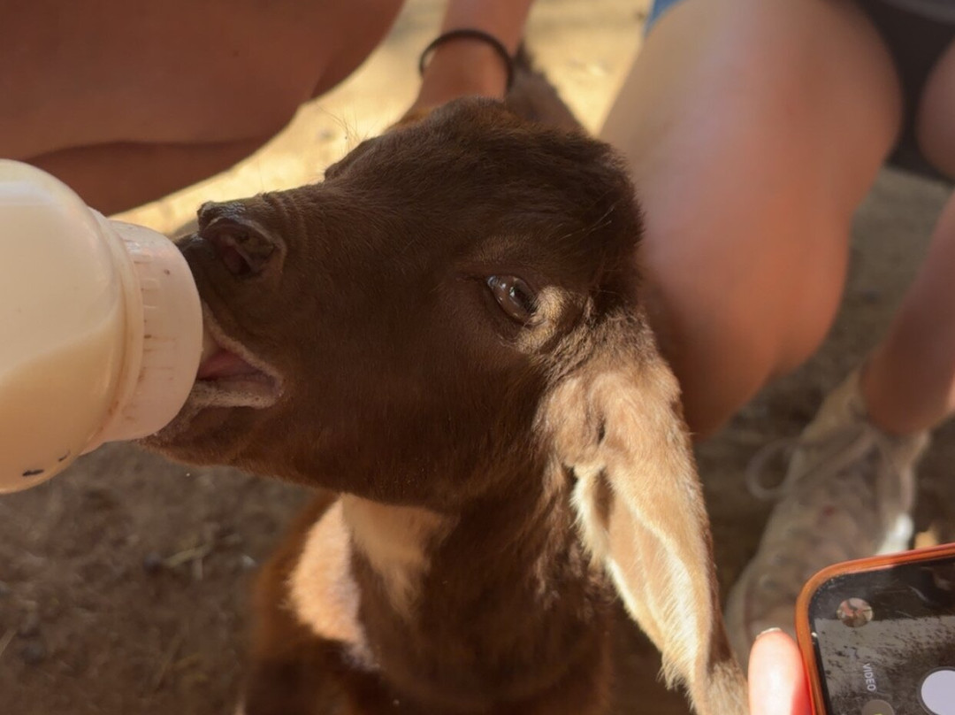 The Monkey Farm-Playa Ocotal必去景点