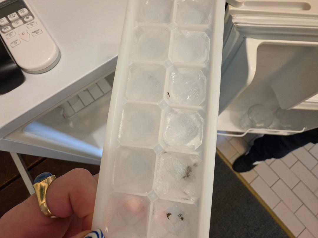 布莱克希斯汽车旅馆主图