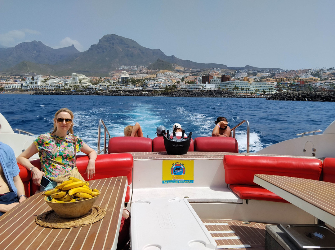 Opera 60 Luxury Charters-奥德杰海岸必去景点