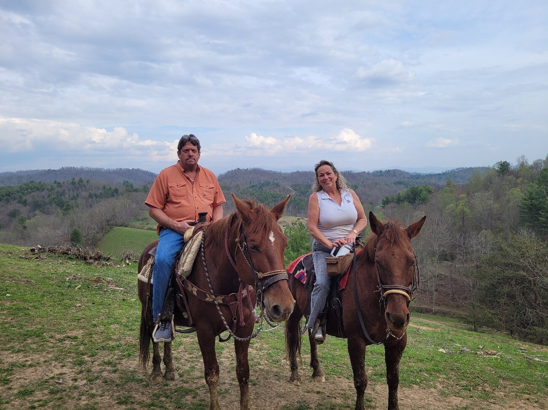 Smoky Mountain Trail Rides and Bison Farm-Marshall必去景点