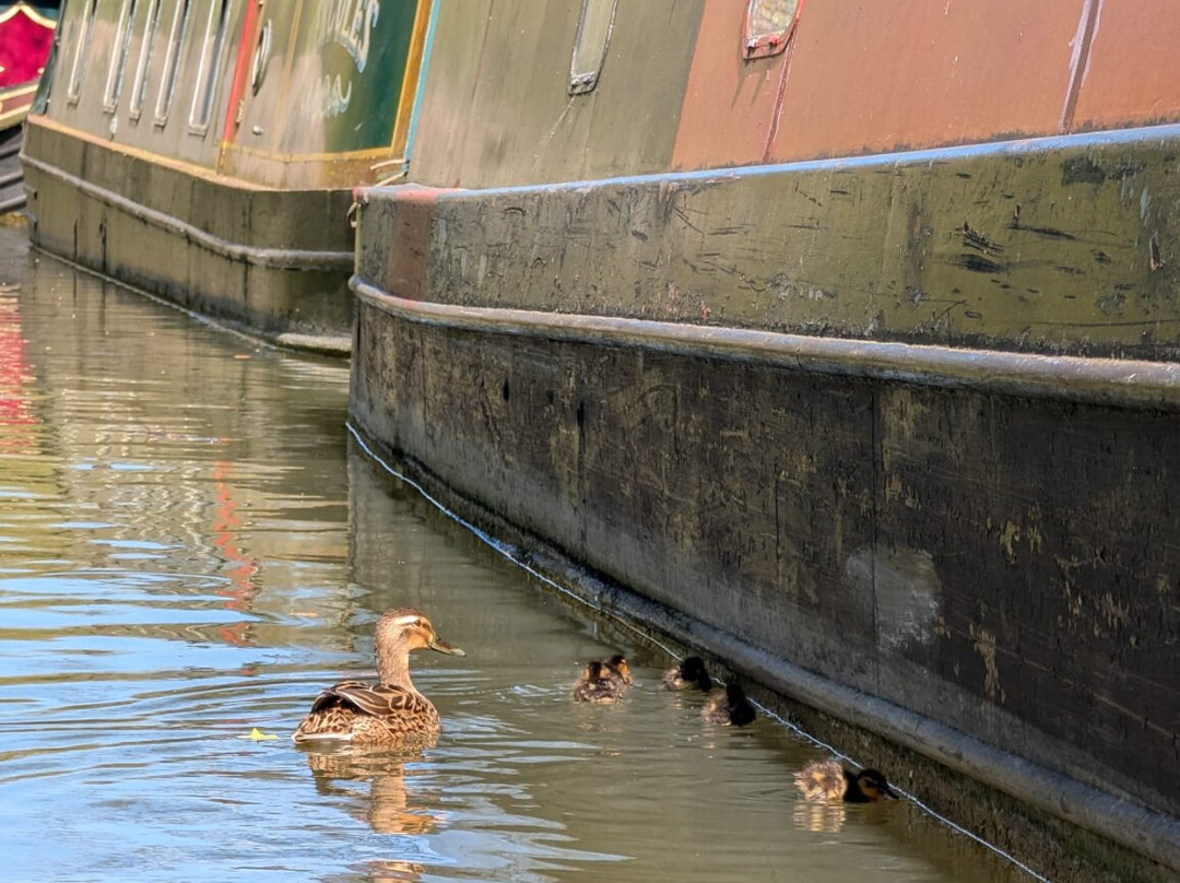 Thrupp Canoe and Kayak Hire-Kidlington必去景点