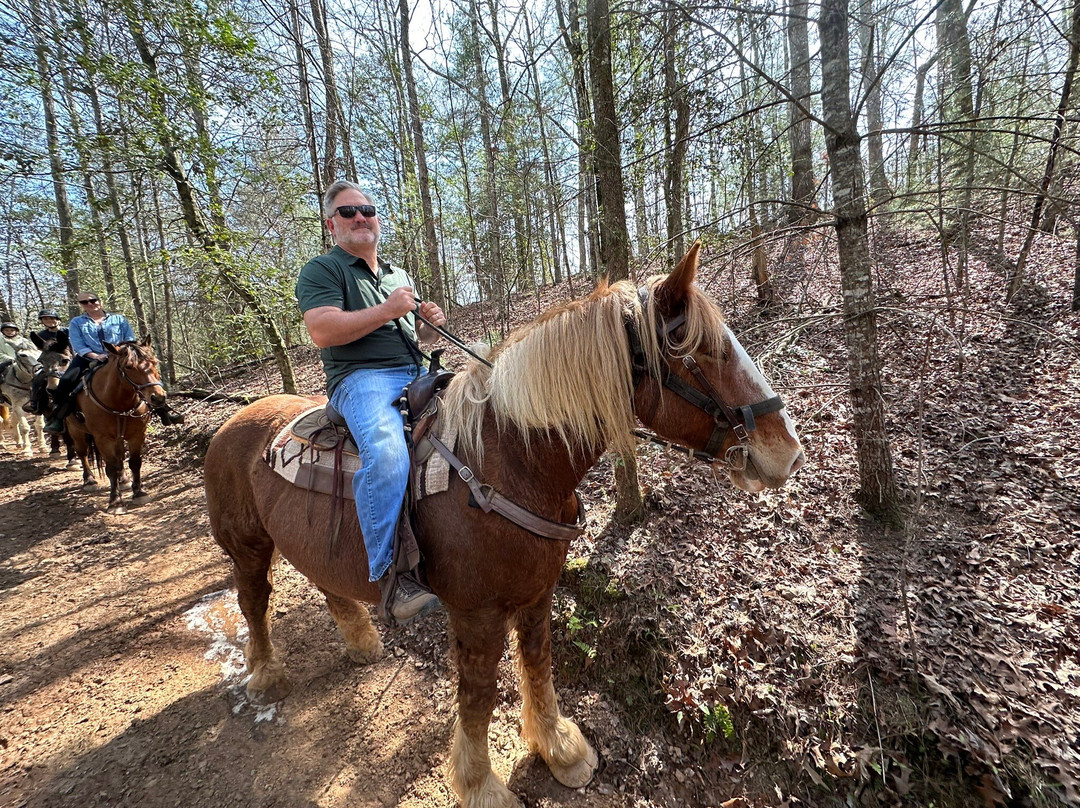 Appalachian Trail Rides-Mineral Bluff必去景点