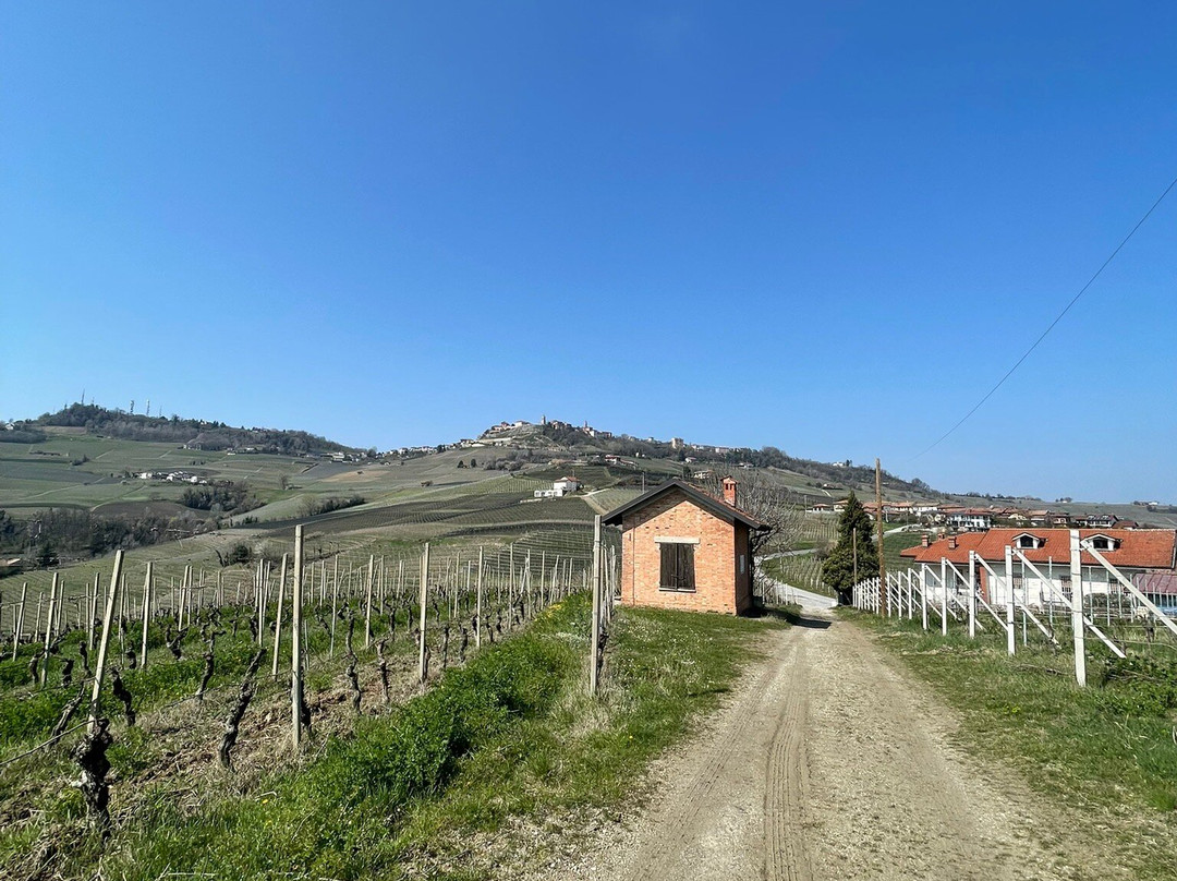 Piedmont Food and Wine-Vinchio必去景点