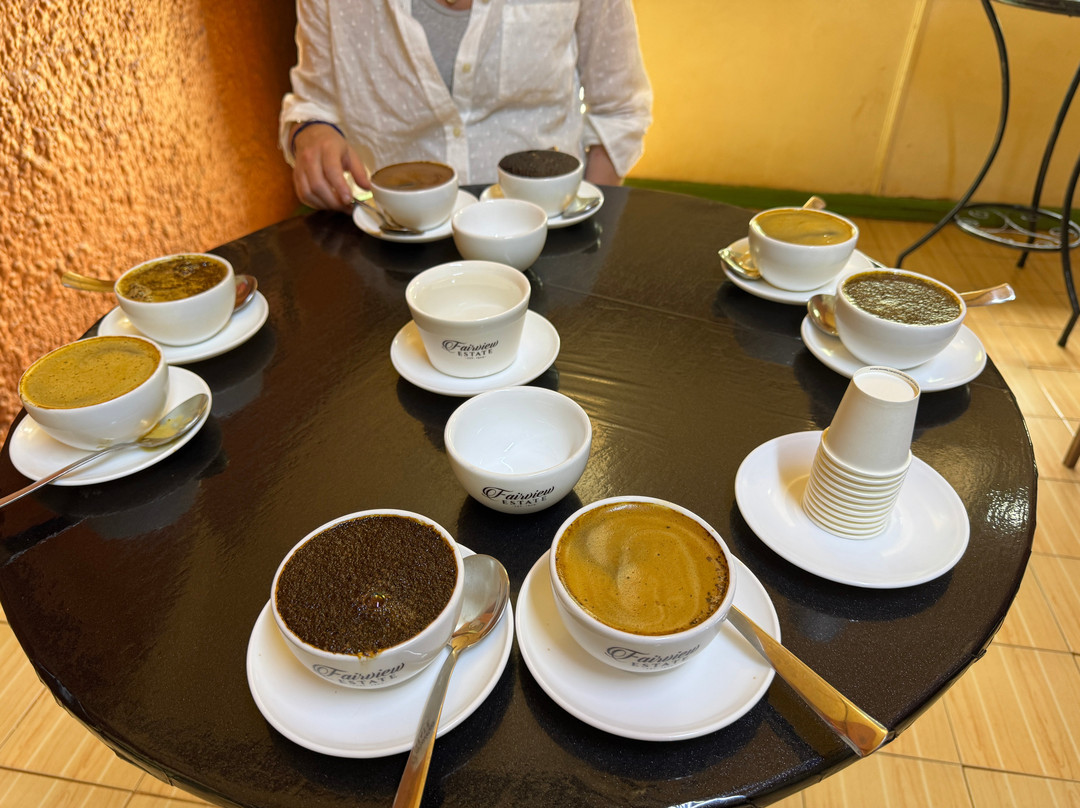 Fairview Coffee Estate-内罗毕必去景点