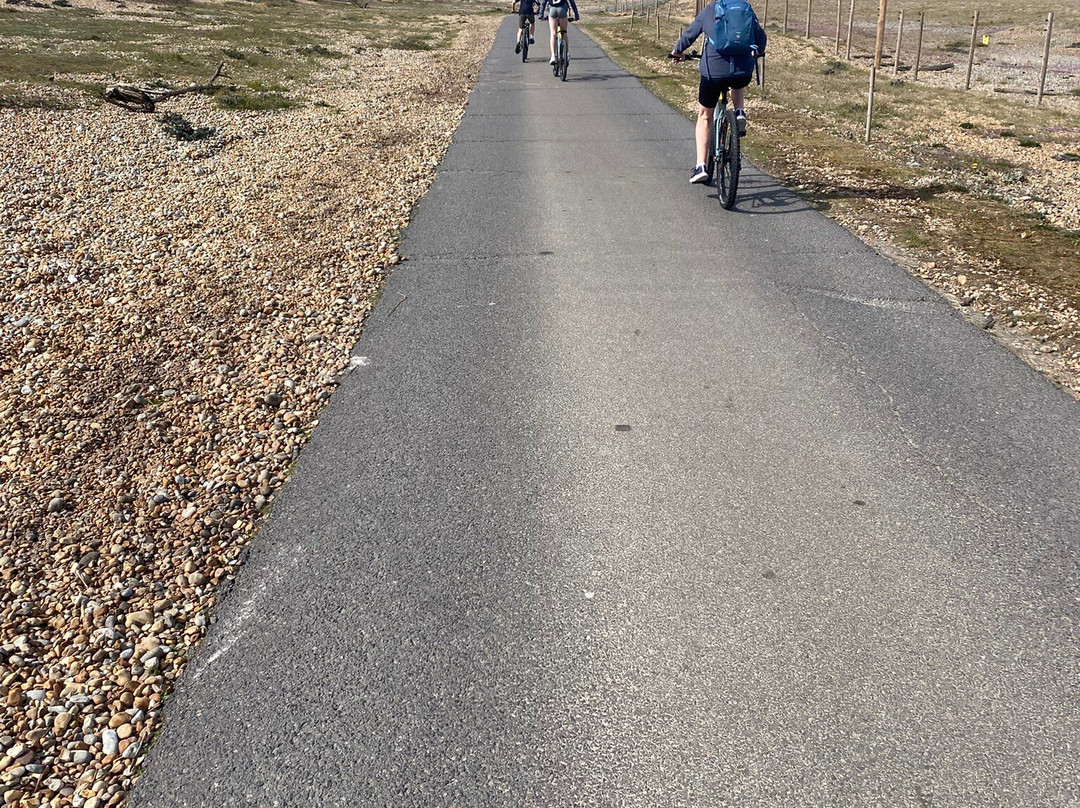 Rye Harbour Cycles-拉伊必去景点