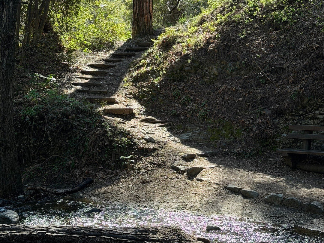 Millomeris Waterfall-帕拉翠斯必去景点