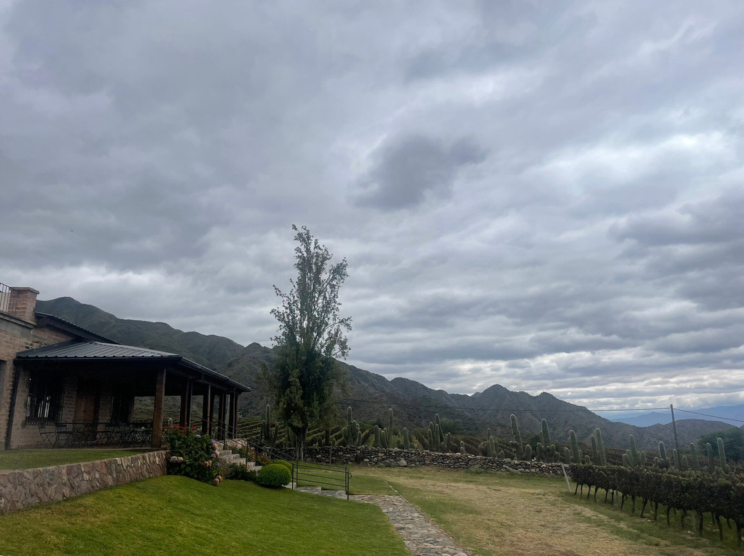 Bodega San Pedro de Yacochuya-卡法亚特必去景点