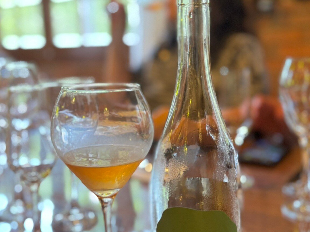 Valparaiso Vinhos E Vinhedos-Barao必去景点